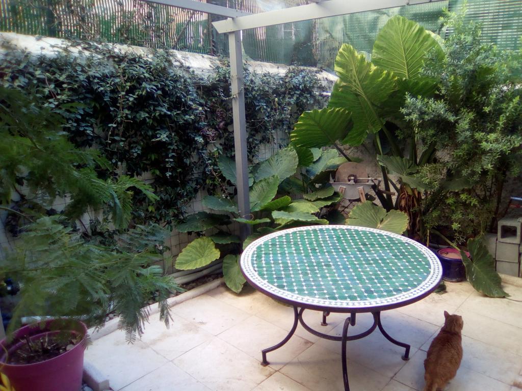 Chambres Et Table D'Hotes Le Jardin De Tesse Tolone Esterno foto